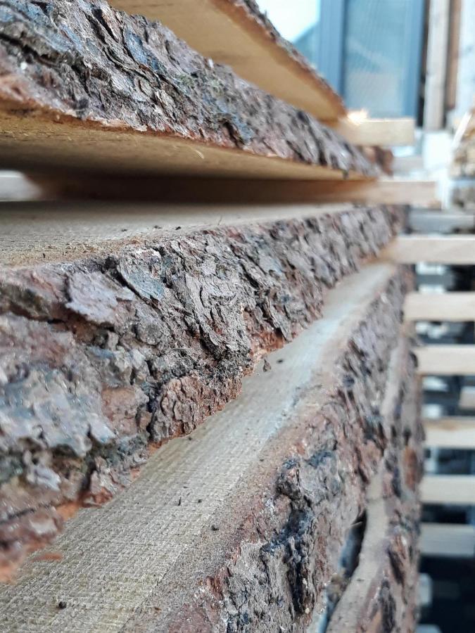 Ferienwohnung An Der Kleinen Schreinerei Hallschlag Eksteriør bilde