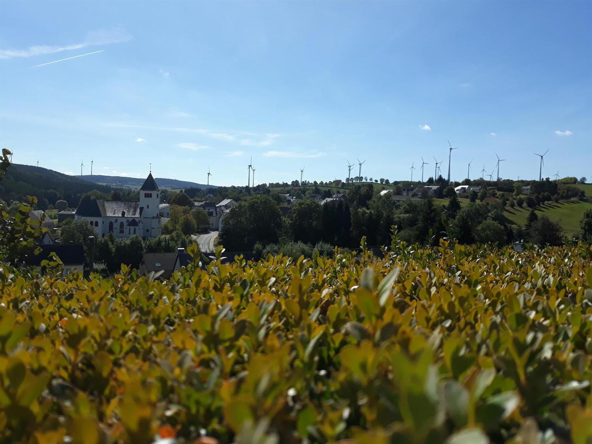 Ferienwohnung An Der Kleinen Schreinerei Hallschlag Rom bilde
